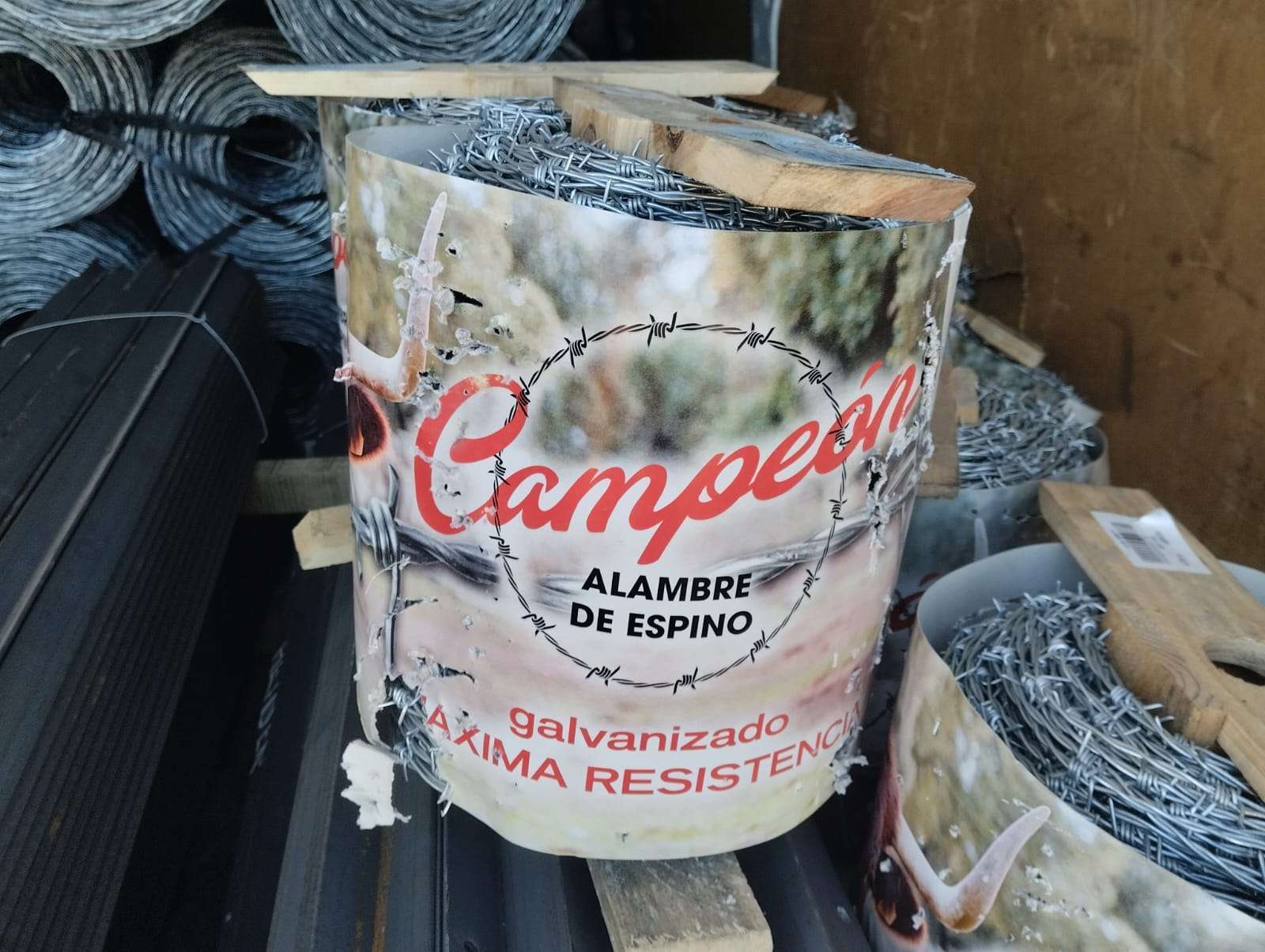 WhatsApp Image 2026-02-11 at 09.40.59